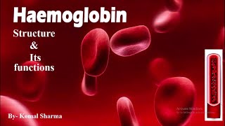 Hemoglobin structure amp its functions  Study MLT [upl. by Ashil]