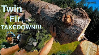 Twin Fir Takedown [upl. by Fenwick]