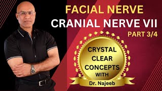 Facial Nerve  Neuroanatomy  Part 34 [upl. by Veriee]