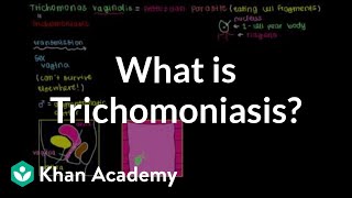 What is trichomoniasis  Infectious diseases  NCLEXRN  Khan Academy [upl. by Nevah]