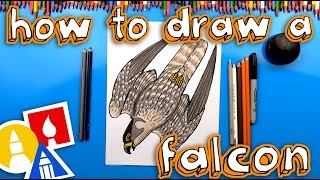 How To Draw A Diving Peregrine Falcon [upl. by Itnava376]