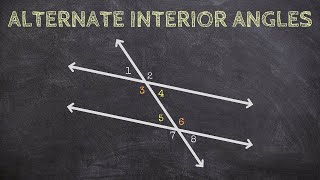 What are Alternate Interior Angles [upl. by Liagabba531]