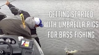 The Alabama Rig  How to Get Started Fishing with It [upl. by Balas]