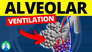 Alveolar Ventilation Medical Definition  Quick Explanation [upl. by Ayahsey]