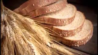 Growing Heritage Wheat at home Part 1 [upl. by Idden]