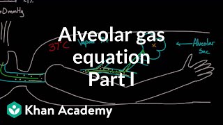 Alveolar gas equation  part 1  Respiratory system physiology  NCLEXRN  Khan Academy [upl. by Patrizio362]