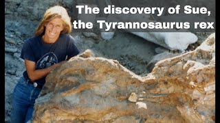 12th August 1990 Sue the Tyrannosaurus rex discovered by Susan Hendrickson [upl. by Merna]