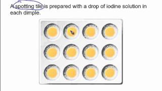 The starch amp amylase experiment [upl. by Snook977]